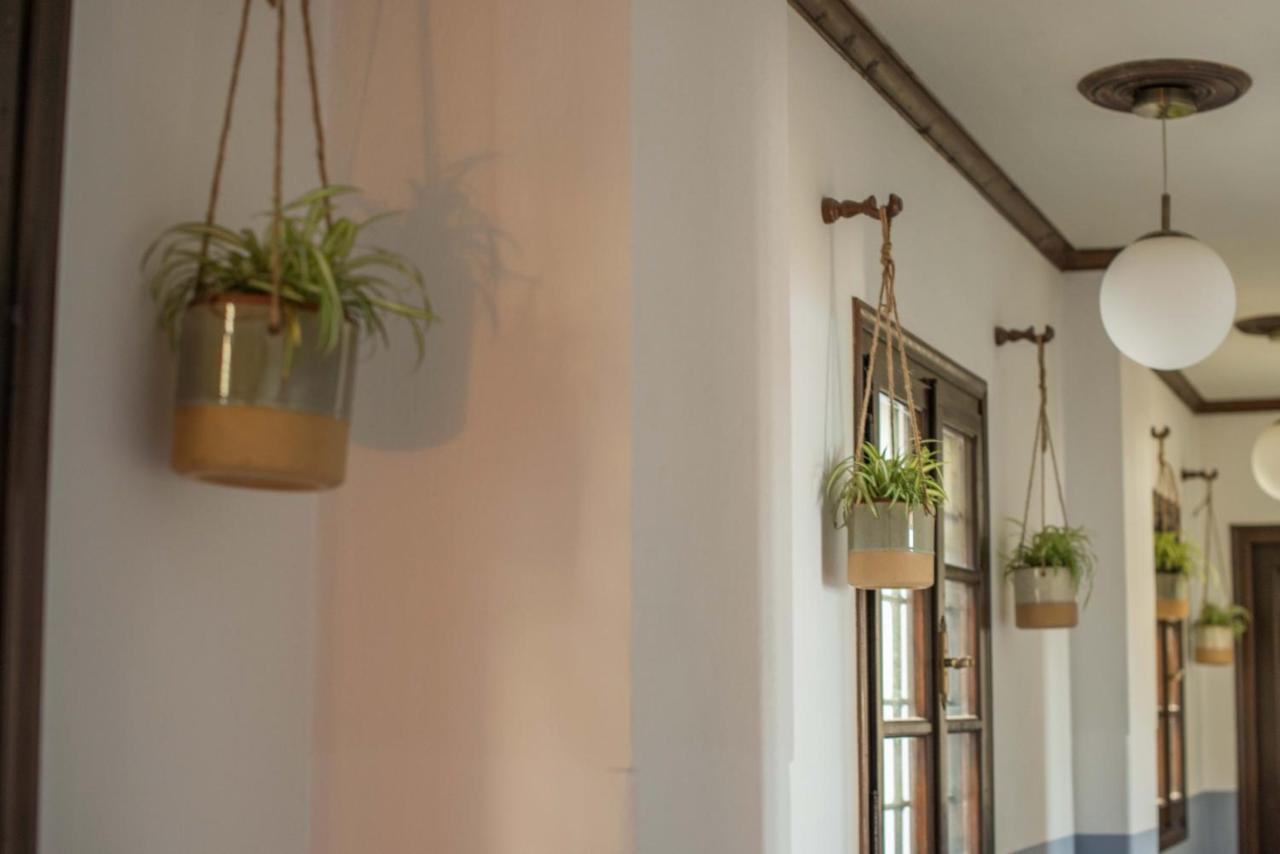 Charis Guesthouse Makrinítsa Dış mekan fotoğraf